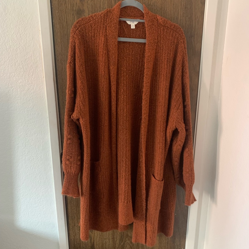 Terra & Sky burnt orange cardigan sweater
